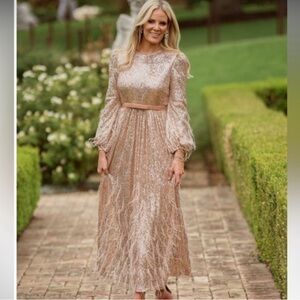 ANTONIO MELANI Nicola Bathie Silver Velvet Feather Sequin Maxi Dress Size 2 XS